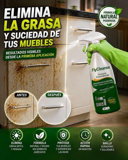 BRILLOMAX - Limpiador de Cocina
