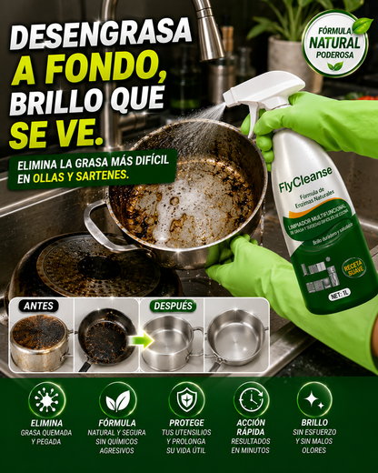 BRILLOMAX - Limpiador de Cocina